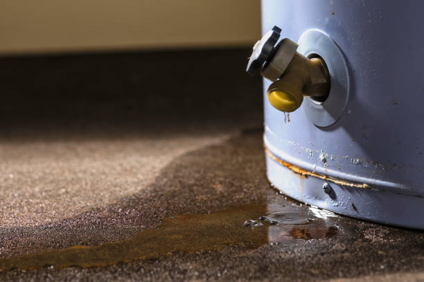 Best Water damage restoration near me  in Rosedale, LA