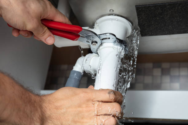 Best Water damage restoration mold remediation  in Rosedale, LA
