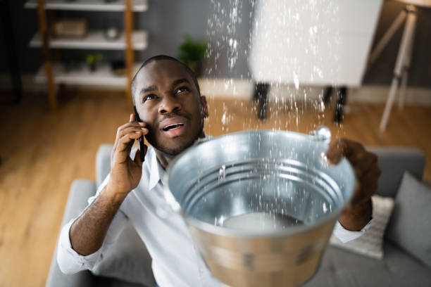 Best Flood damage cleanup  in Rosedale, LA