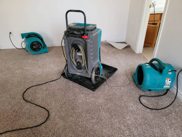 Best Basement water damage restoration  in Rosedale, LA