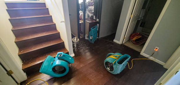 Best 24/7 water damage repair  in Rosedale, LA