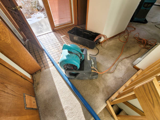 Best Fire Damage Restoration  in Rosedale, LA