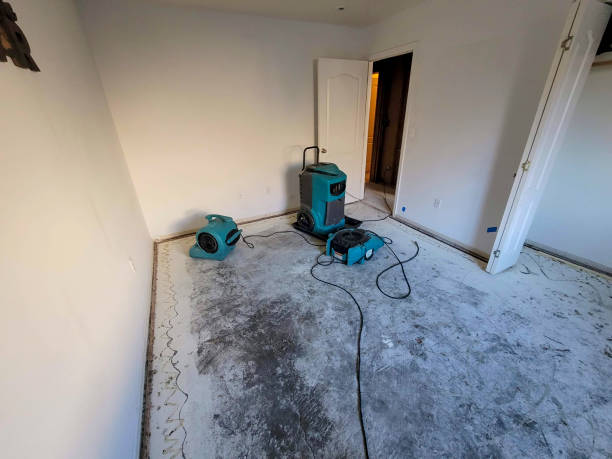 Reliable LA Water damage restoration Solutions
