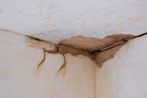 Best Water damage restoration services  in Rosedale, LA