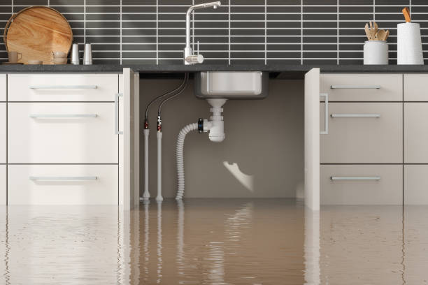 Best Carpet water damage restoration  in Rosedale, LA