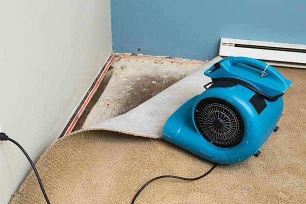 Best Commercial water damage restoration  in Rosedale, LA